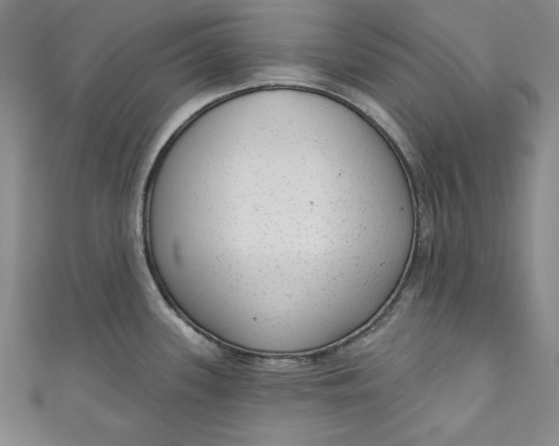 X0000110861339200907021408