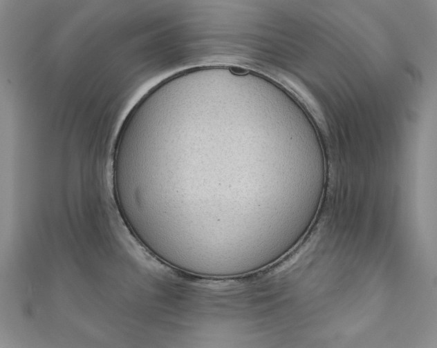 X0000110861340200907021408