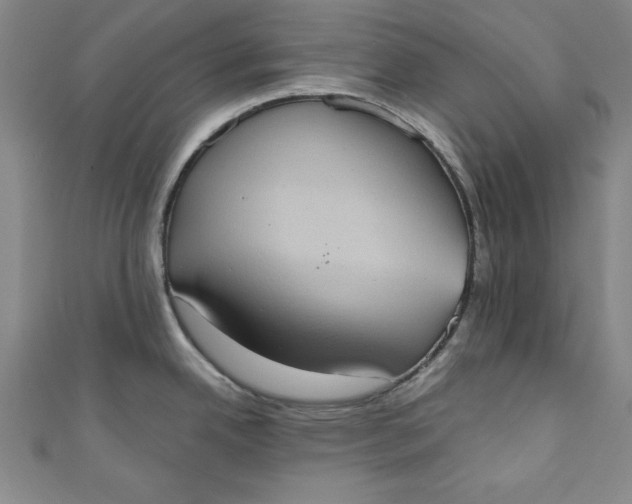 X0000110861342200907021408