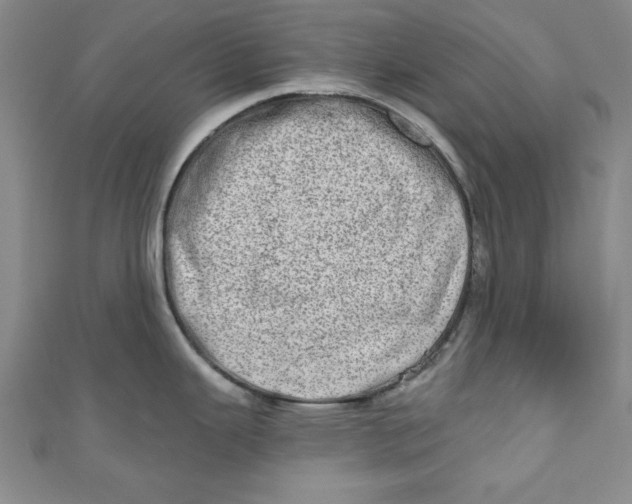 X0000110861343200907021408