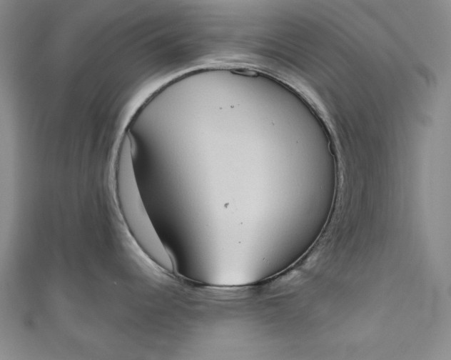 X0000110861344200907021408