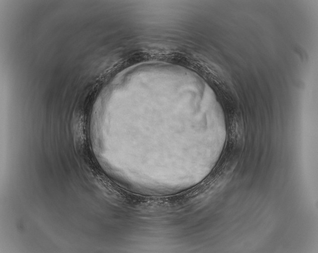 X0000110861346200907021407