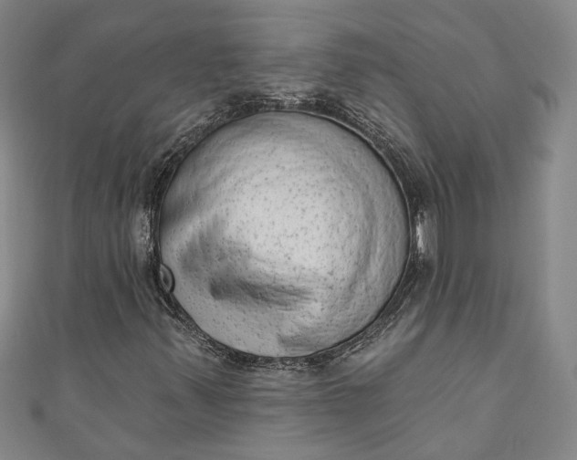 X0000110861347200907021407