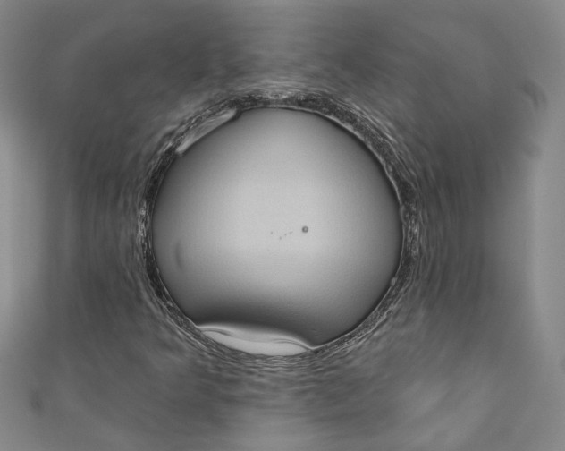 X0000110861349200907021407