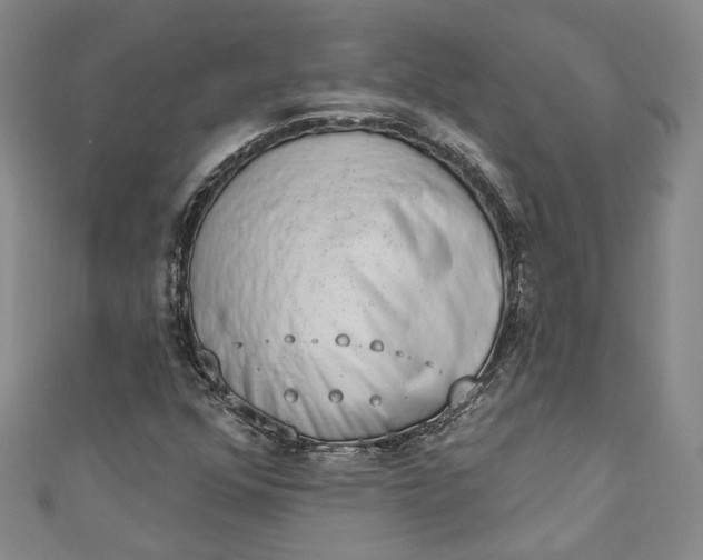 X0000110861352200907021407