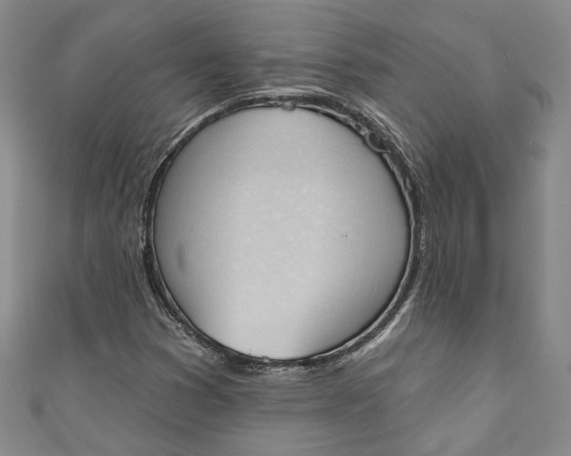 X0000110861353200907021407