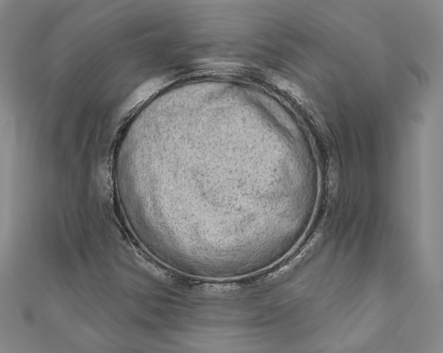 X0000110861354200907021407