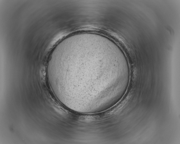 X0000110861355200907021407