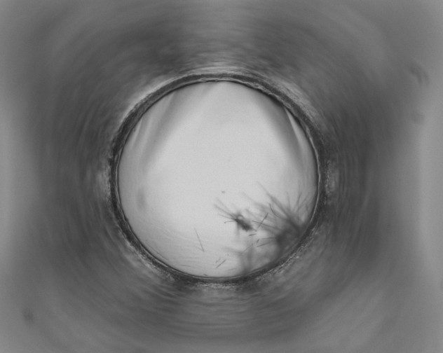 X0000110861356200907021407