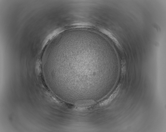 X0000110861357200907021407