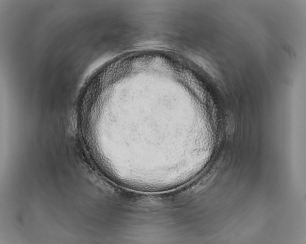 X0000110861358200907021407