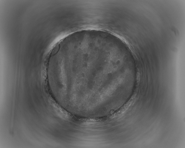 X0000110861359200907021407