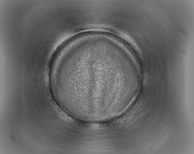 X0000110861360200907021407