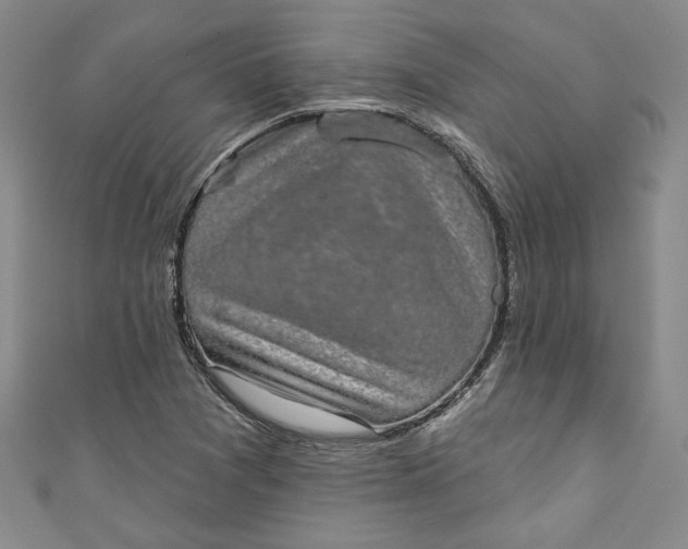 X0000110861361200907021407