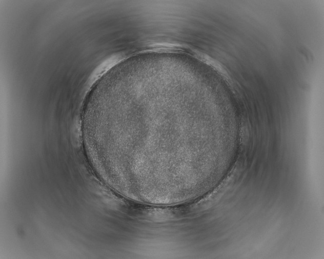 X0000110861362200907021407