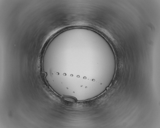 X0000110861364200907021407