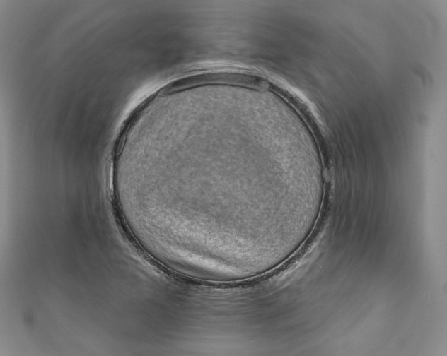 X0000110861365200907021407