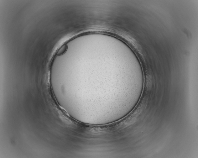 X0000110861366200907021407