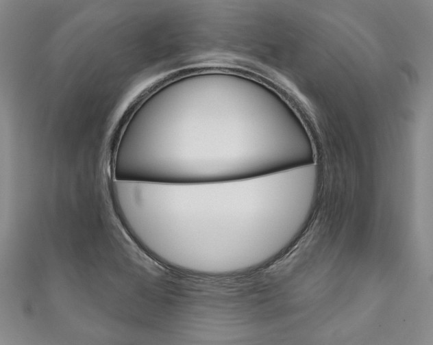 X0000110861368200907021407