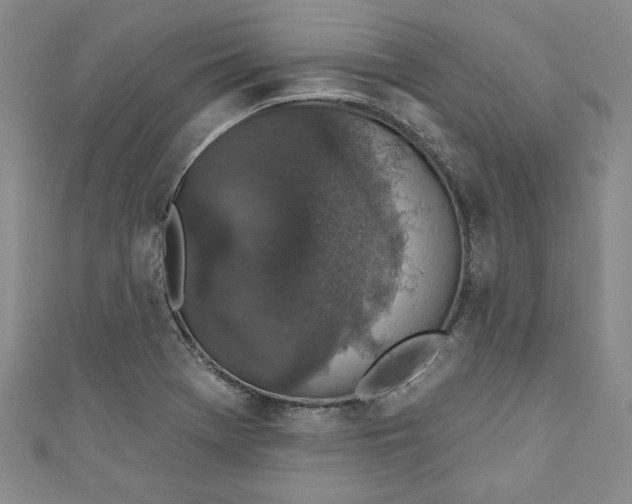 X0000110861369200907021407