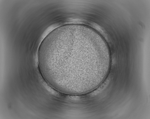 X0000110861370200907021407