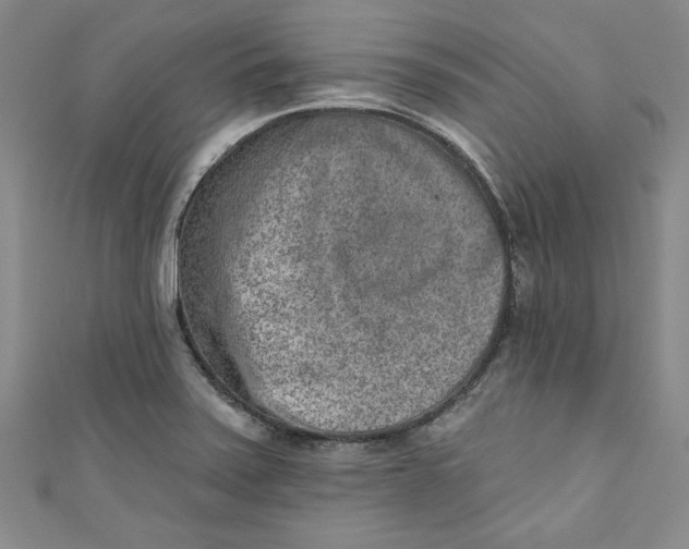 X0000110861371200907021407