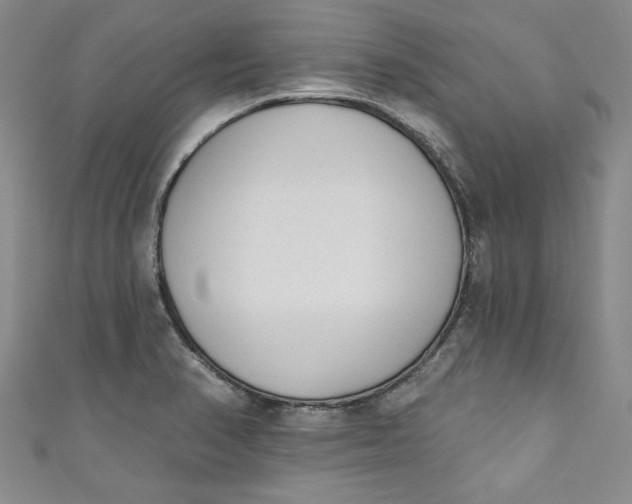 X0000110861374200907021407