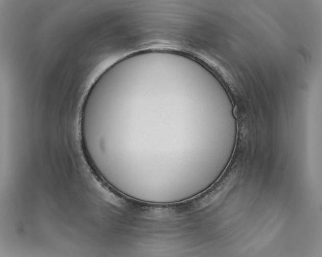 X0000110861375200907021407