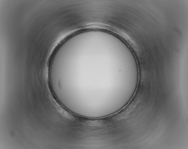 X0000110861376200907021407