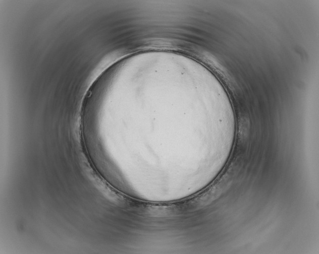 X0000110861378200907021407