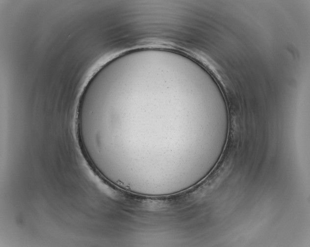 X0000110861379200907021407