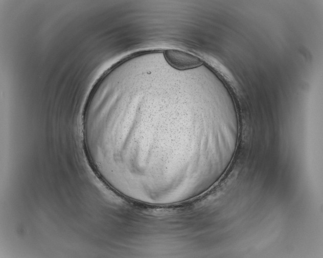 X0000110861380200907021407