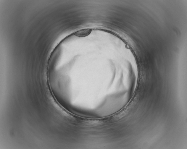 X0000110861382200907021407