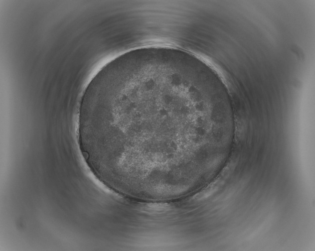 X0000110861383200907021407