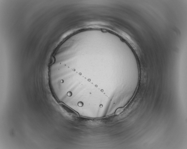 X0000110861384200907021407