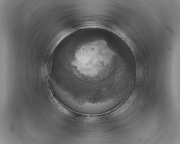 X0000110861385200907021407