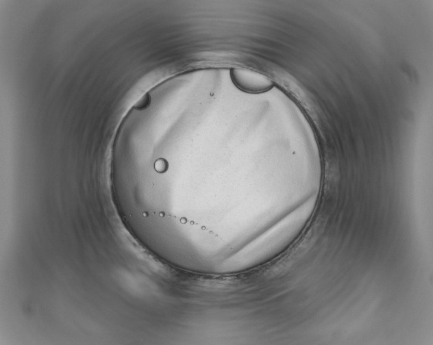 X0000110861386200907021407