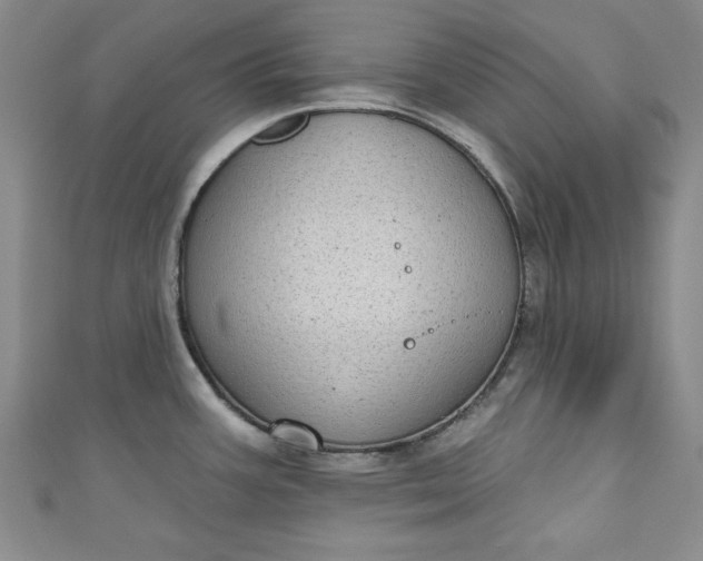 X0000110861387200907021407