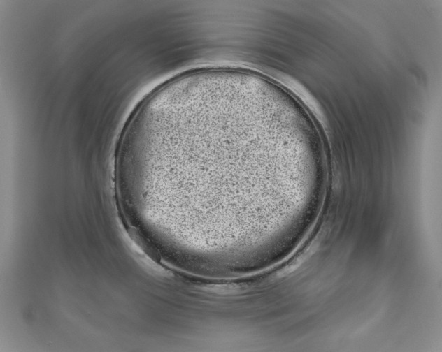 X0000110861388200907021407