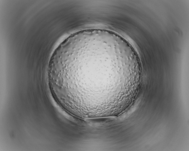 X0000110861389200907021407