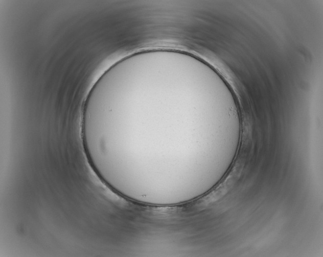 X0000110861390200907021407