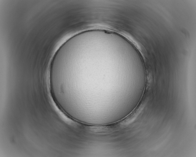 X0000110861391200907021407