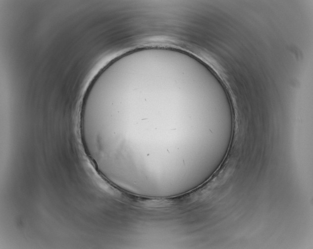 X0000110861392200907021407