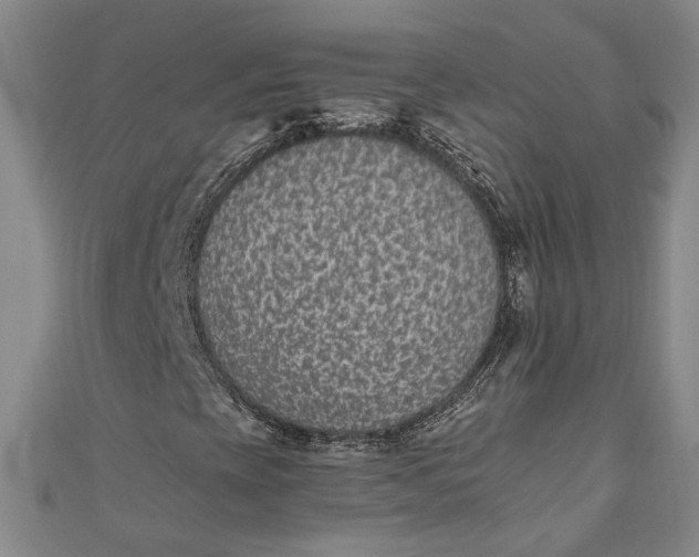 X0000110861393200907021406