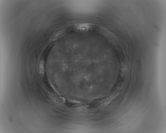 X0000110861394200907021406