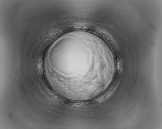 X0000110861396200907021406