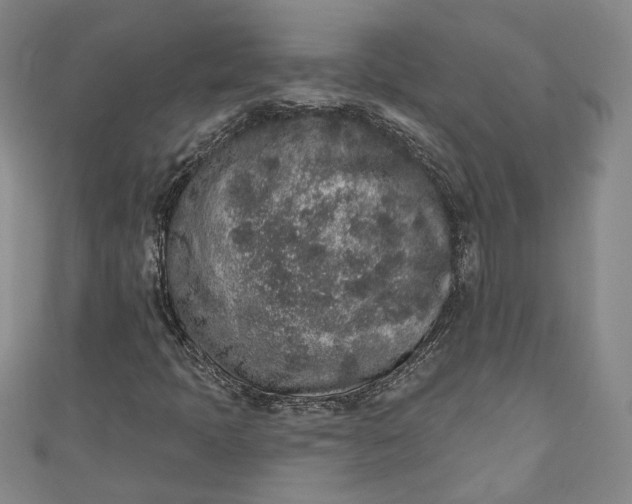 X0000110861397200907021406