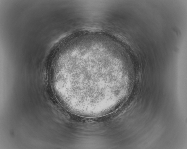 X0000110861398200907021406