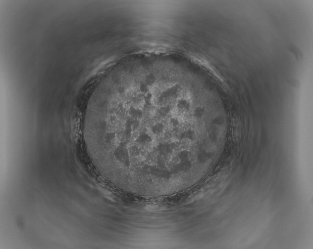 X0000110861399200907021406