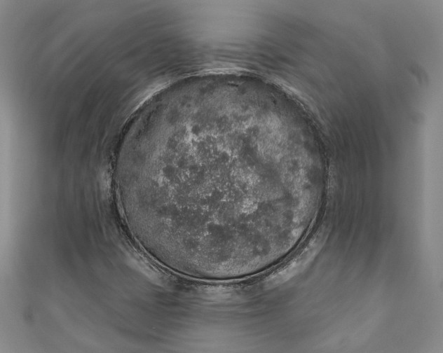 X0000110861401200907021406